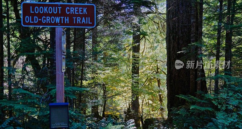 Lookout Creek雨林标志